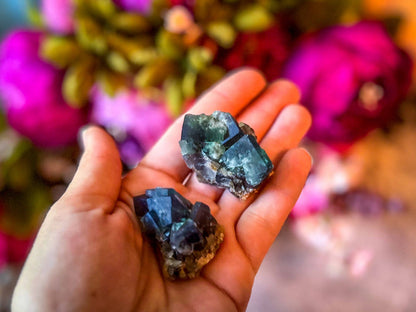 Naughty Gnome Pocket Fluorite Clusters from United Kingdom | Fluorescent Crystal