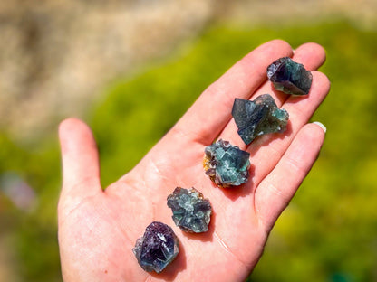 Naughty Gnome Pocket Fluorite Clusters from United Kingdom | Fluorescent Crystal