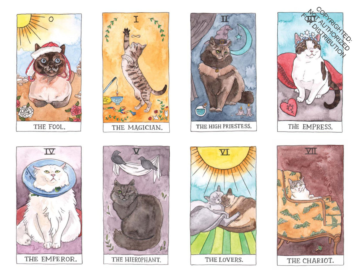 Cat Tarot | Megan Lynn Kott