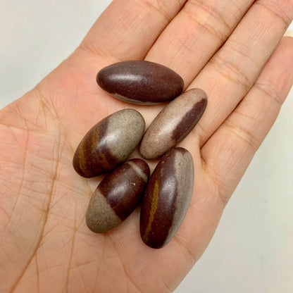 Natural Shiva Lingam 4" | Sacred Stone of Balance & Transformation