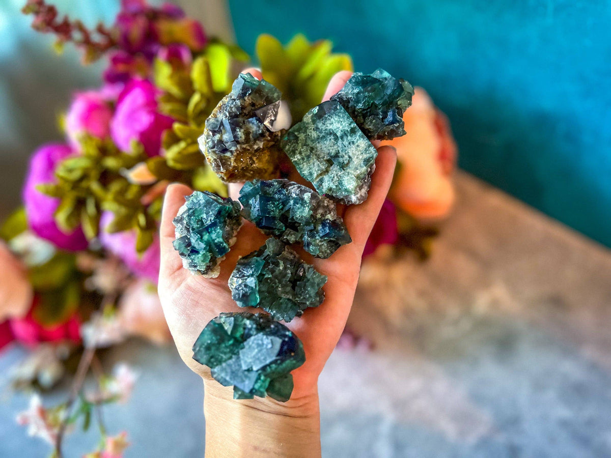 Naughty Gnome Pocket Fluorite Clusters from United Kingdom | Fluorescent Crystal