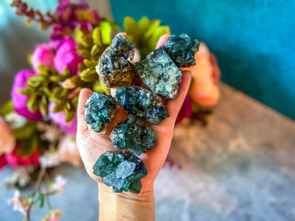 Naughty Gnome Pocket Fluorite Clusters from United Kingdom | Fluorescent Crystal