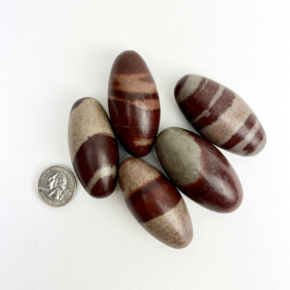 Natural Shiva Lingam 4" | Sacred Stone of Balance & Transformation