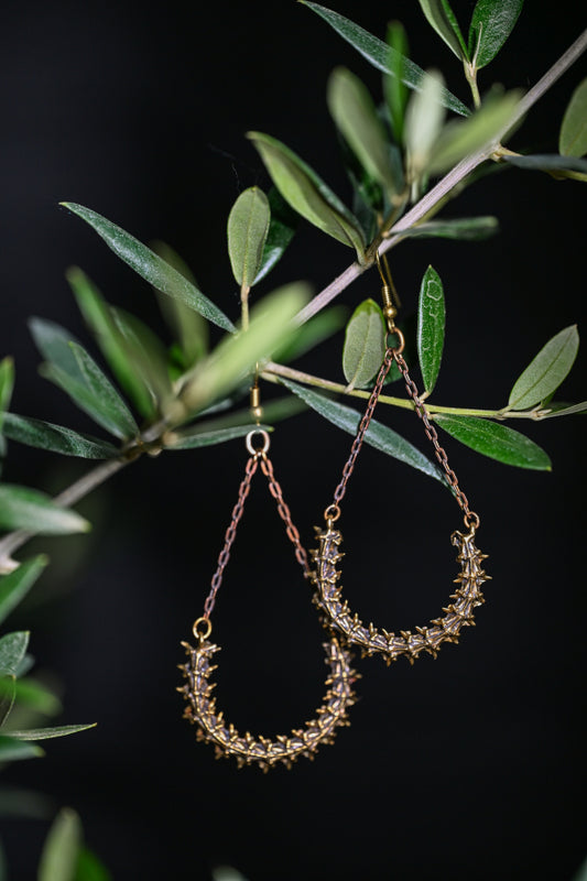 Snake Vertebrae Earrings | Gold Patina | Alkemie Jewelry