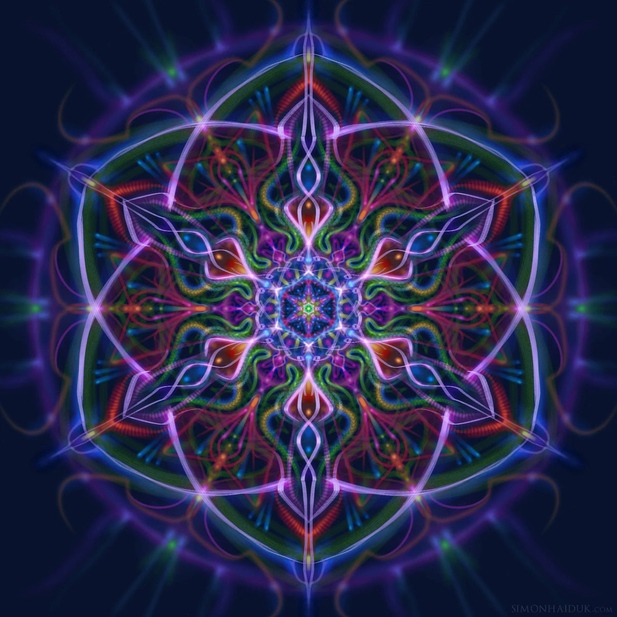 Simon Haiduk Paper Prints