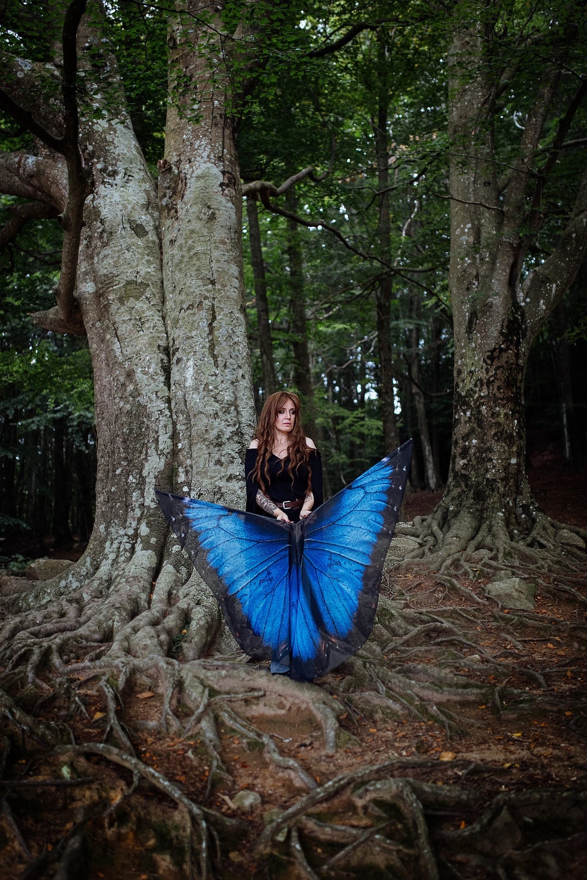 Blue Butterfly Wing | Performance Flags | Handmade in Spain