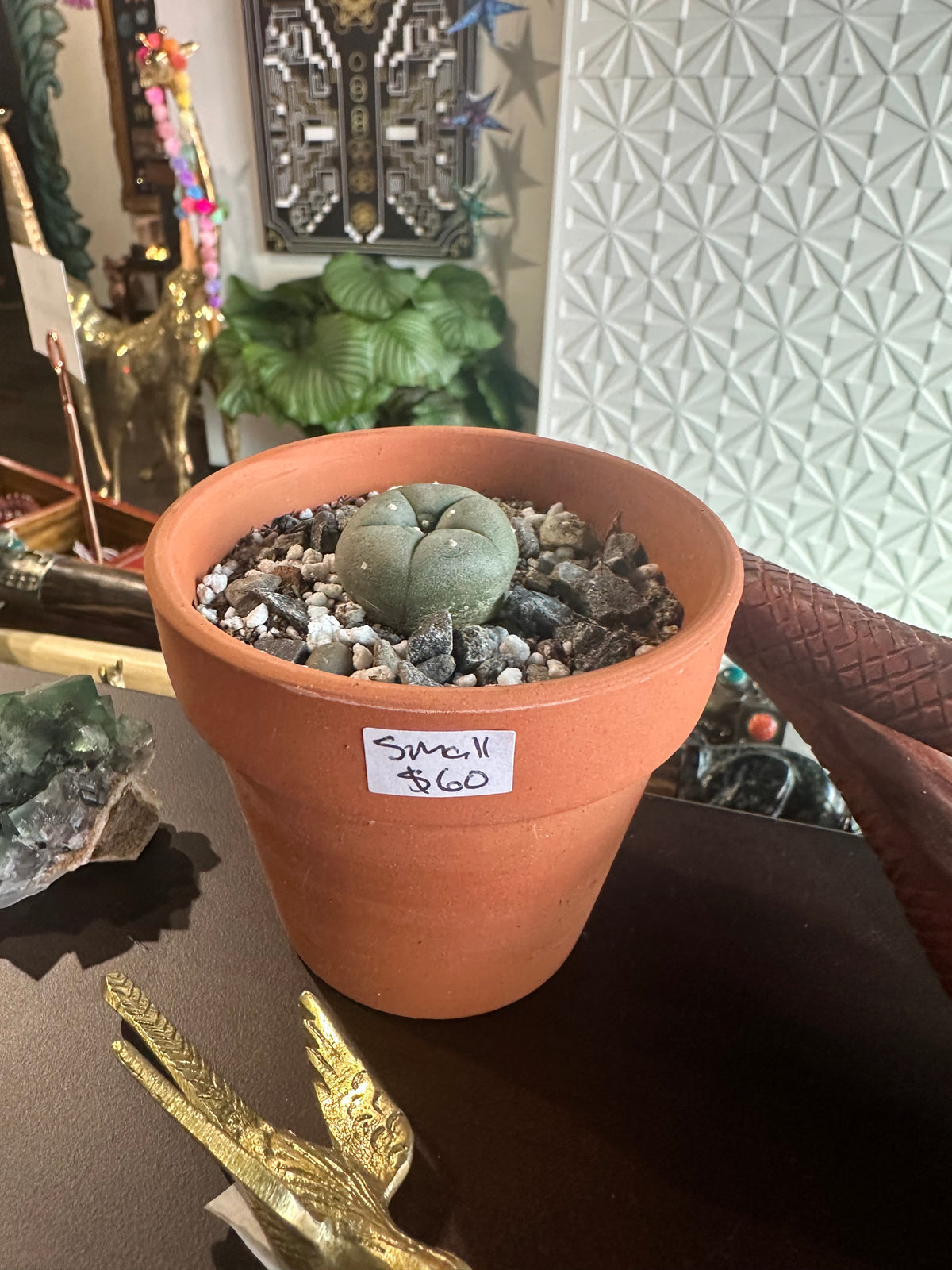 Peyote Button Small