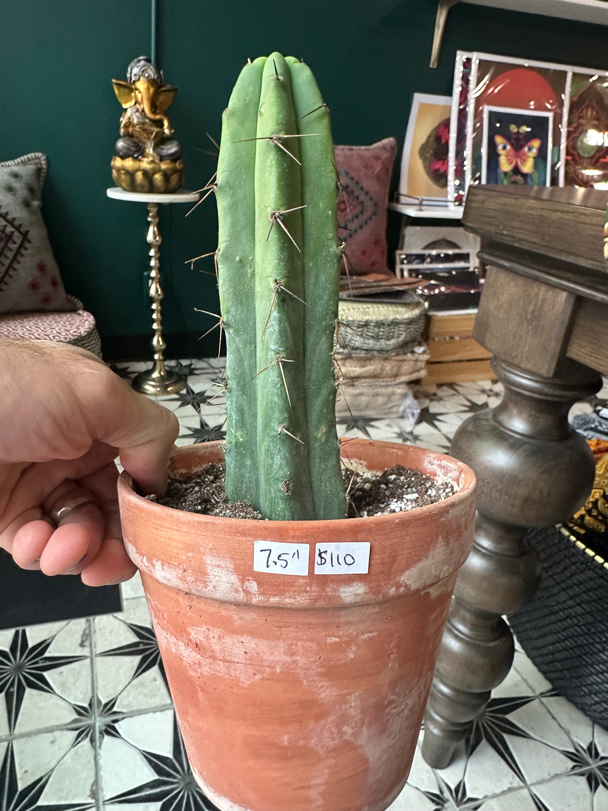 San Pedro 10”