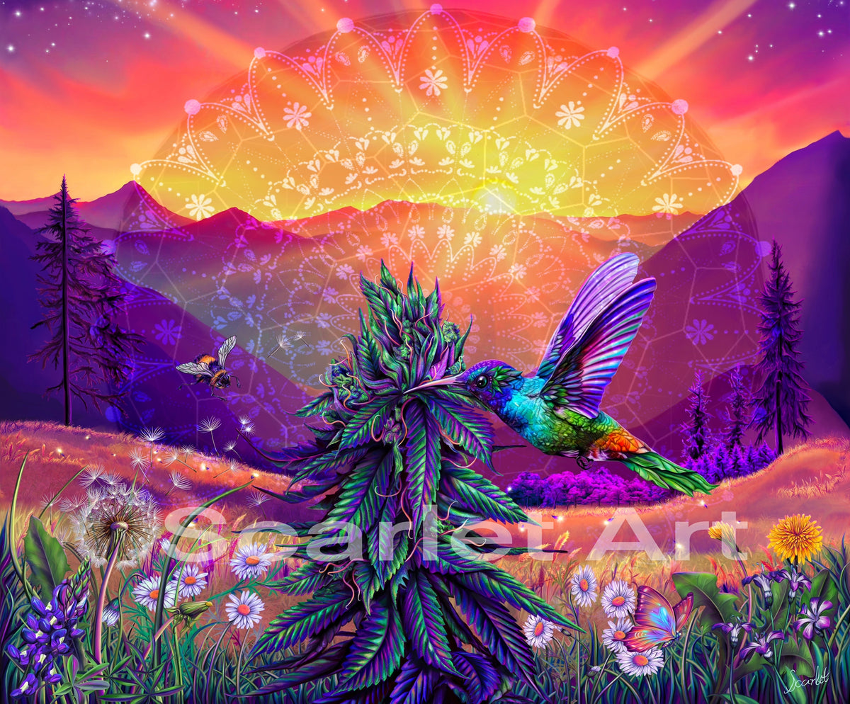 Ease and Flow | Scarlet Art