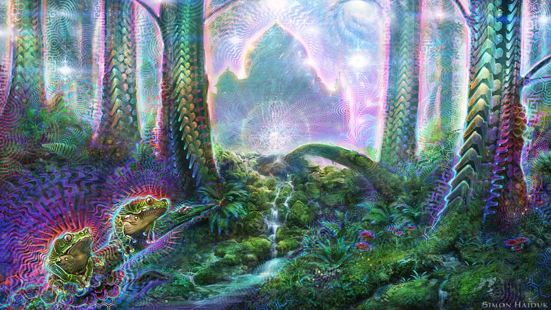 Simon Haiduk Paper Prints