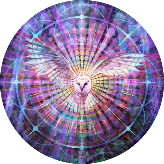 Night Vision Sticker | Simon Haiduk
