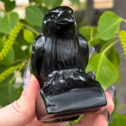 Large Obsidian Crow 