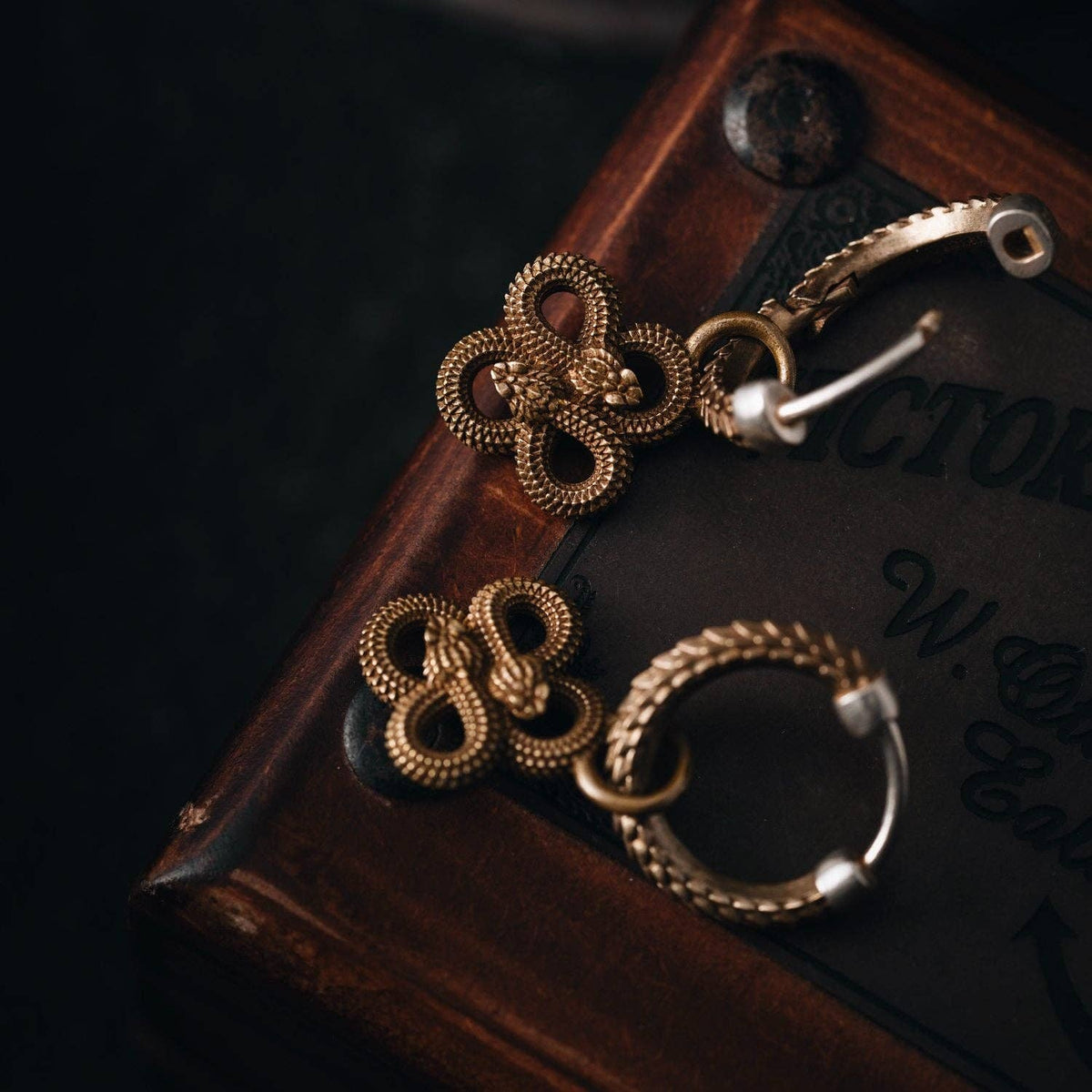 Double Snake Hoop Earrings | Brass | Coppertist.Wu