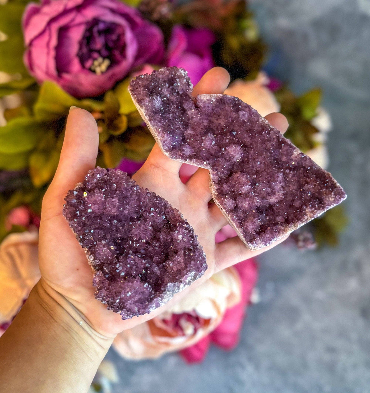 Rare Turkish Amethyst Clusters from Alacam Mine | Natural Crystal Specimens