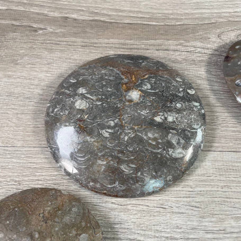 Ammonite Fossil Bowls | Genuine Fossil Crystal Dish