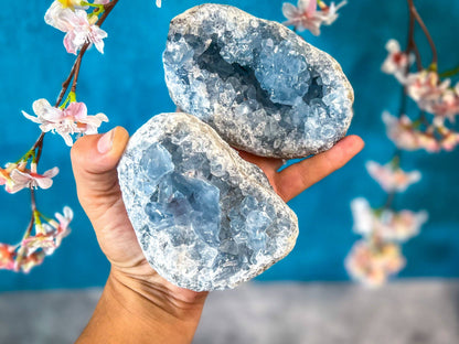 Celestite Clusters | Natural Blue Celestite Crystal Specimens