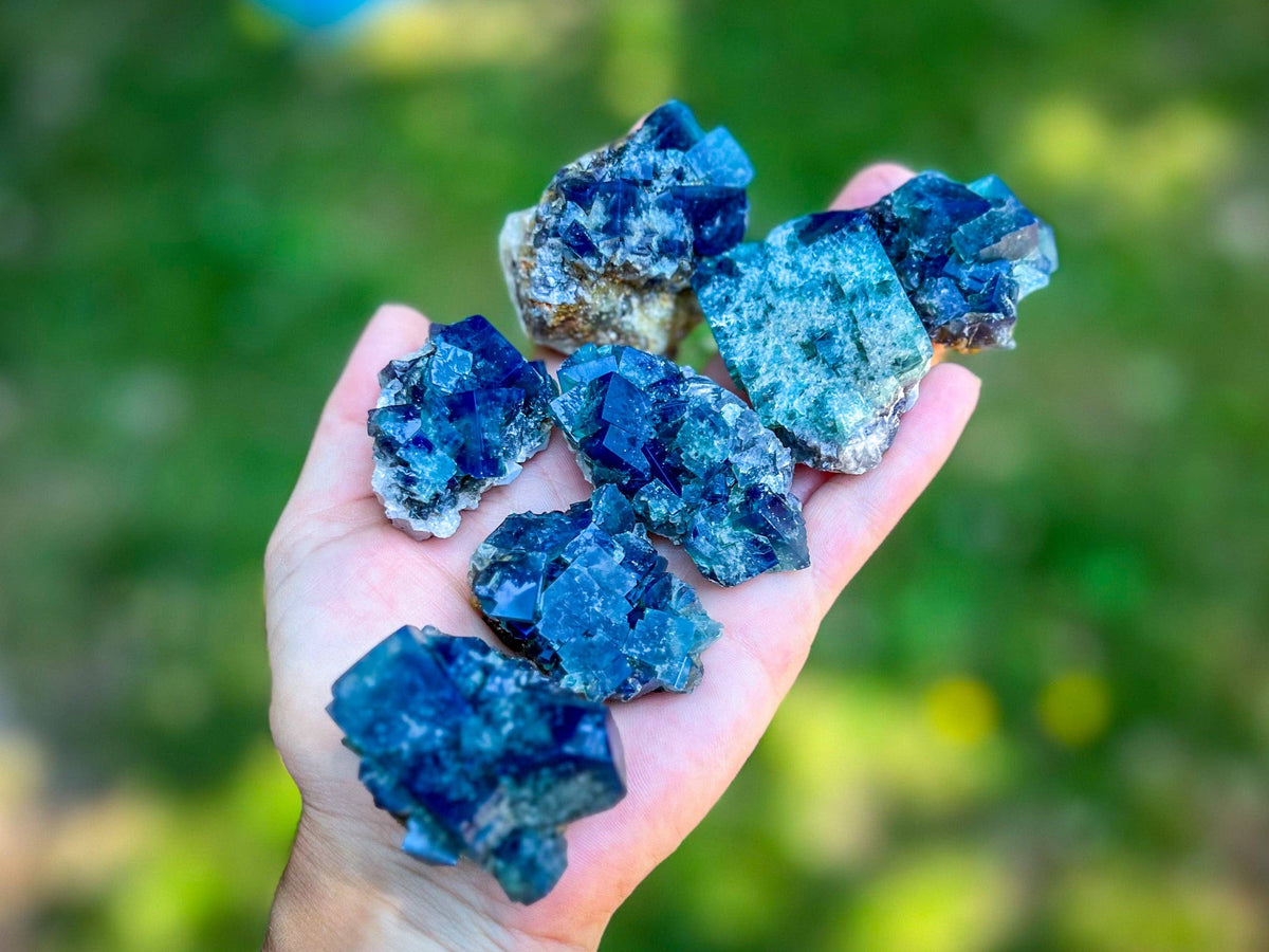 Naughty Gnome Pocket Fluorite Clusters from United Kingdom | Fluorescent Crystal