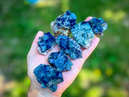 Naughty Gnome Pocket Fluorite Clusters from United Kingdom | Fluorescent Crystal