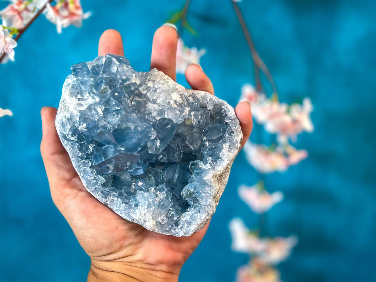 Celestite Clusters | Natural Blue Celestite Crystal Specimens