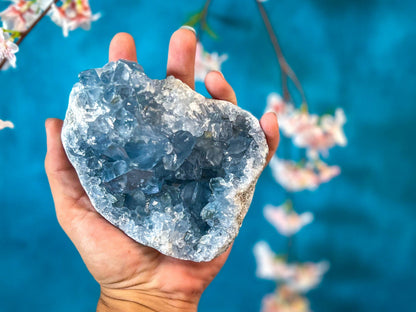 Celestite Clusters | Natural Blue Celestite Crystal Specimens