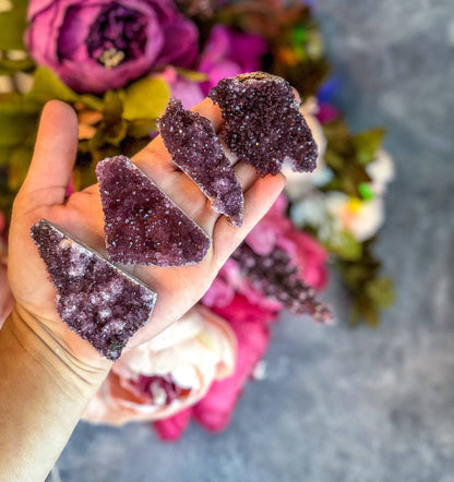 Rare Turkish Amethyst Clusters from Alacam Mine | Natural Crystal Specimens