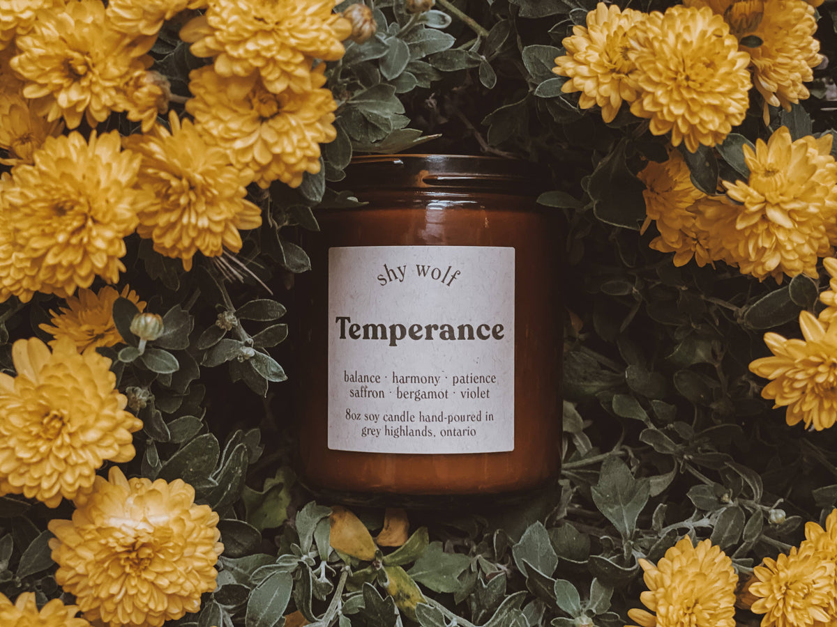 Temperance Tarot Inspired Soy Candle | Bergamot, Saffron & Violet