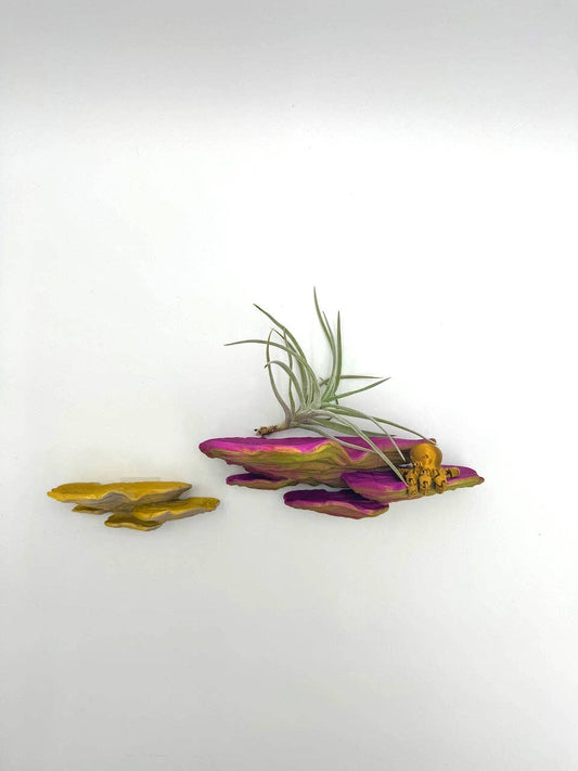 Ostrea Fungus Floating Shelf | Sculptural Wall Shelf