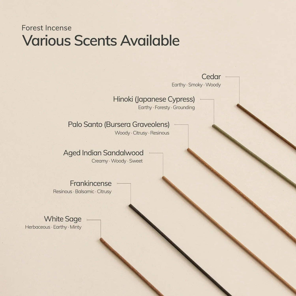 Hinoki Japanese Incense Set | 30 Cypress Incense Sticks & Brass Holder