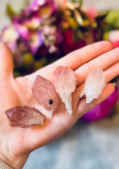 Scepter Quartz with Pink Hematite | Rare Crystal from India