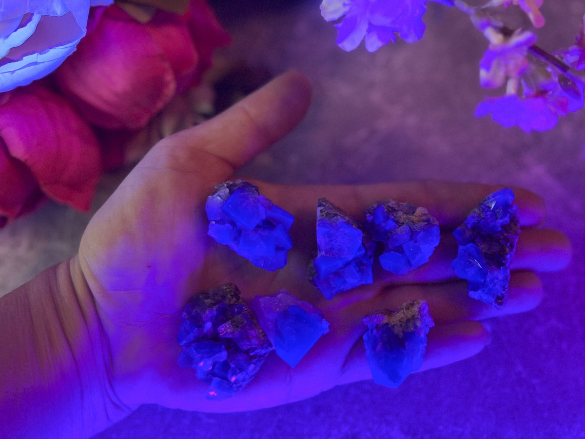 Naughty Gnome Pocket Fluorite Clusters from United Kingdom | Fluorescent Crystal