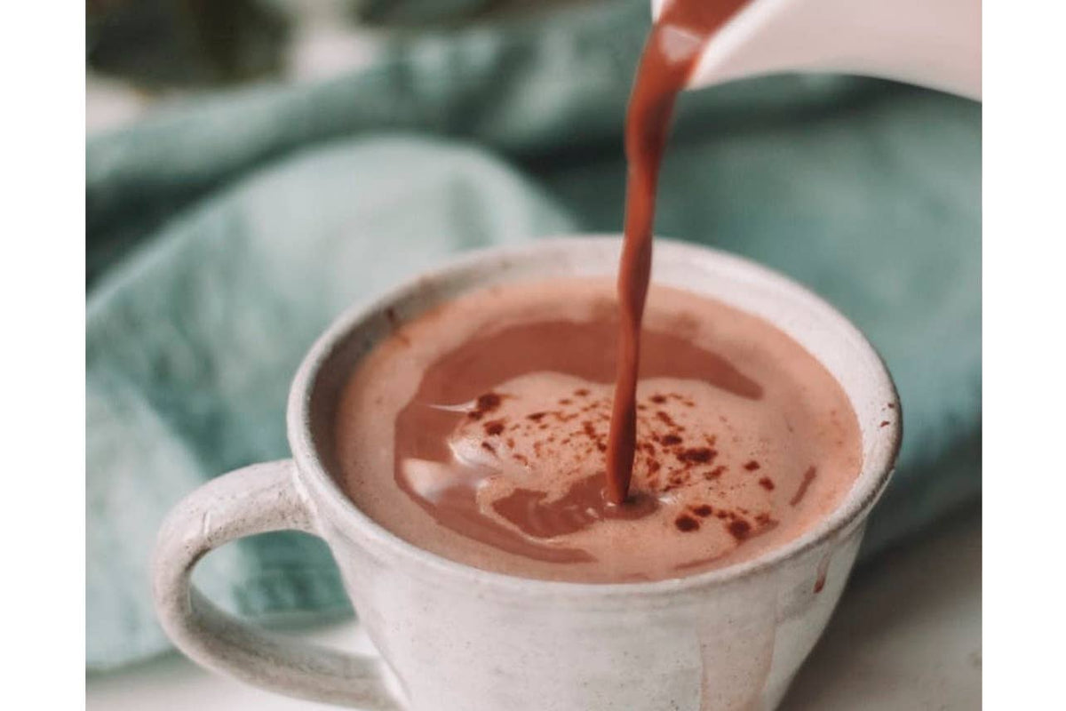 Mexican Hot Chocolate Discs | Traditional Oaxaca Cacao