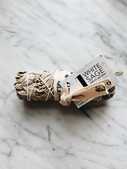 Forest-Friendly White Sage Bundle | 4 inch