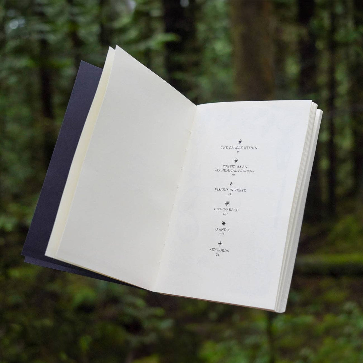 Visions in Verse | Guide Book