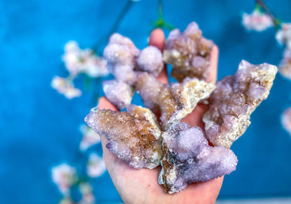 Large Spirit Amethyst Quartz Specimens from South Africa | Cactus Amethyst