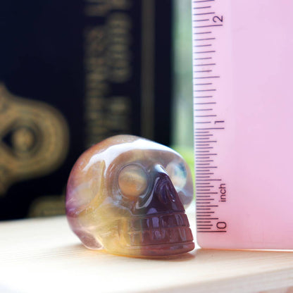 Fluorite Crystal Skull | Symbol of Wisdom & Clarity