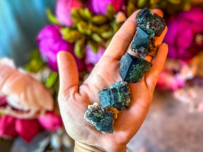 Naughty Gnome Pocket Fluorite Clusters from United Kingdom | Fluorescent Crystal
