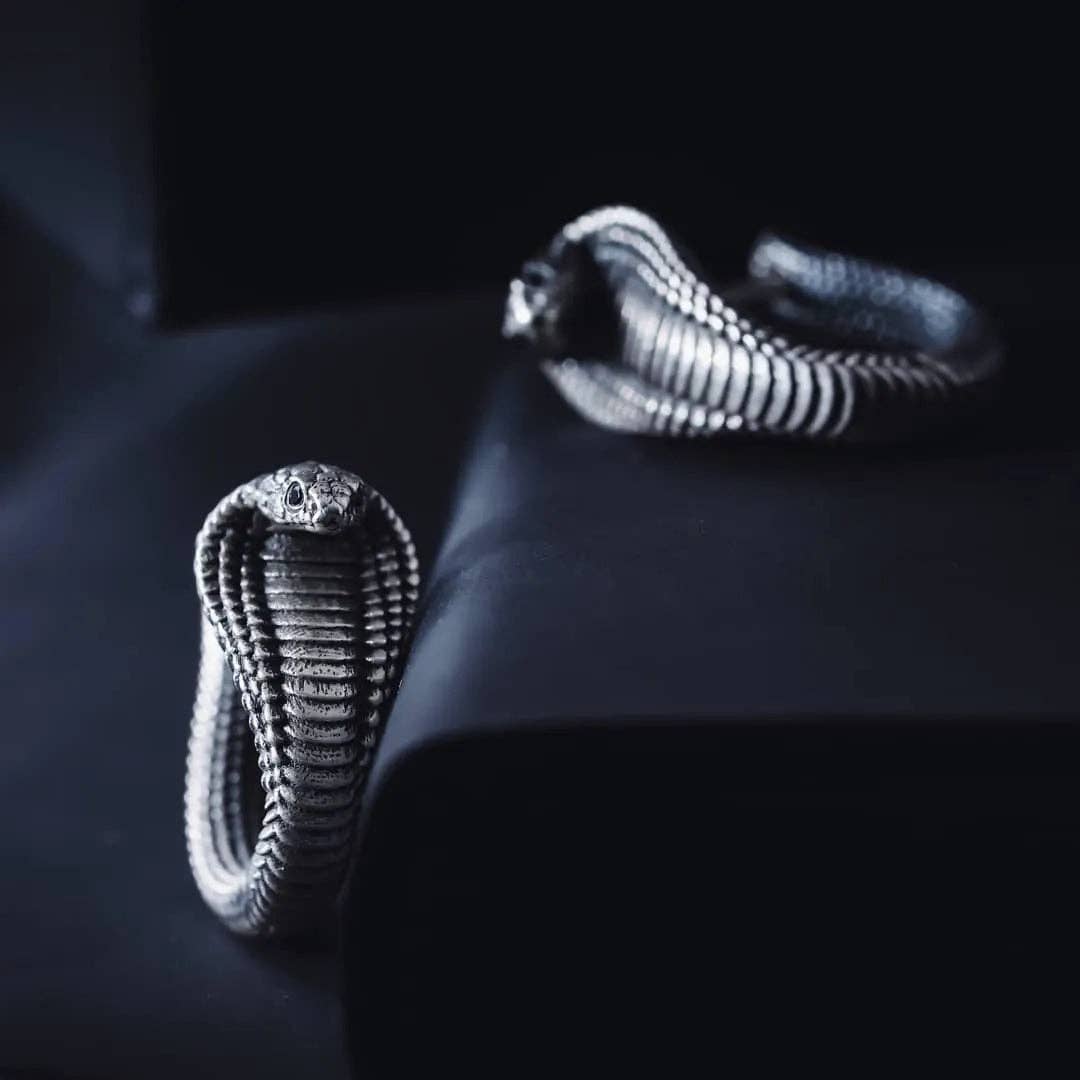 Cobra Huggie Earrings | Oxidized Sterling Silver & Zircon | Coppertist.Wu