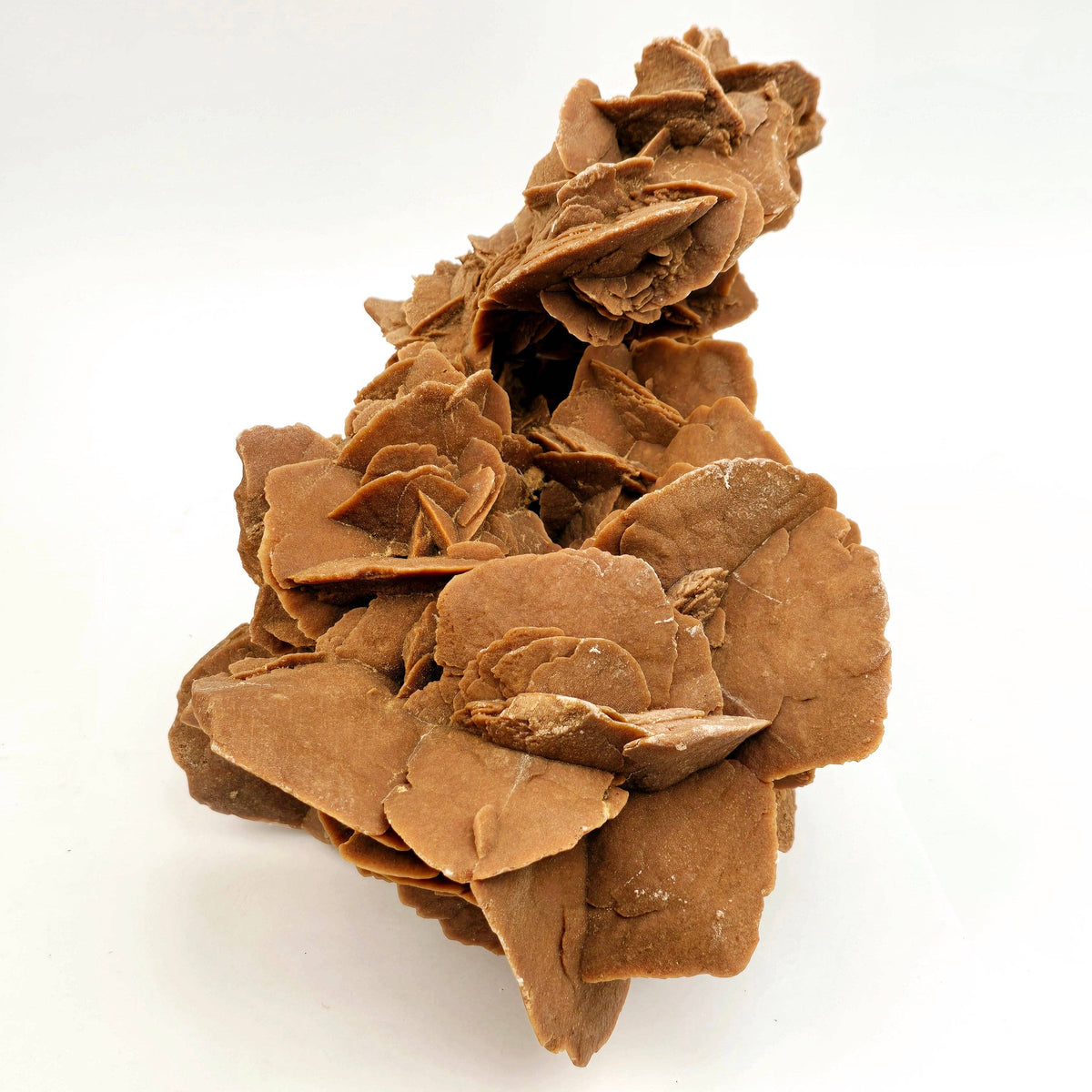 Extra Large Desert Rose Crystal Cluster from Morocco | 13 lb Specimen