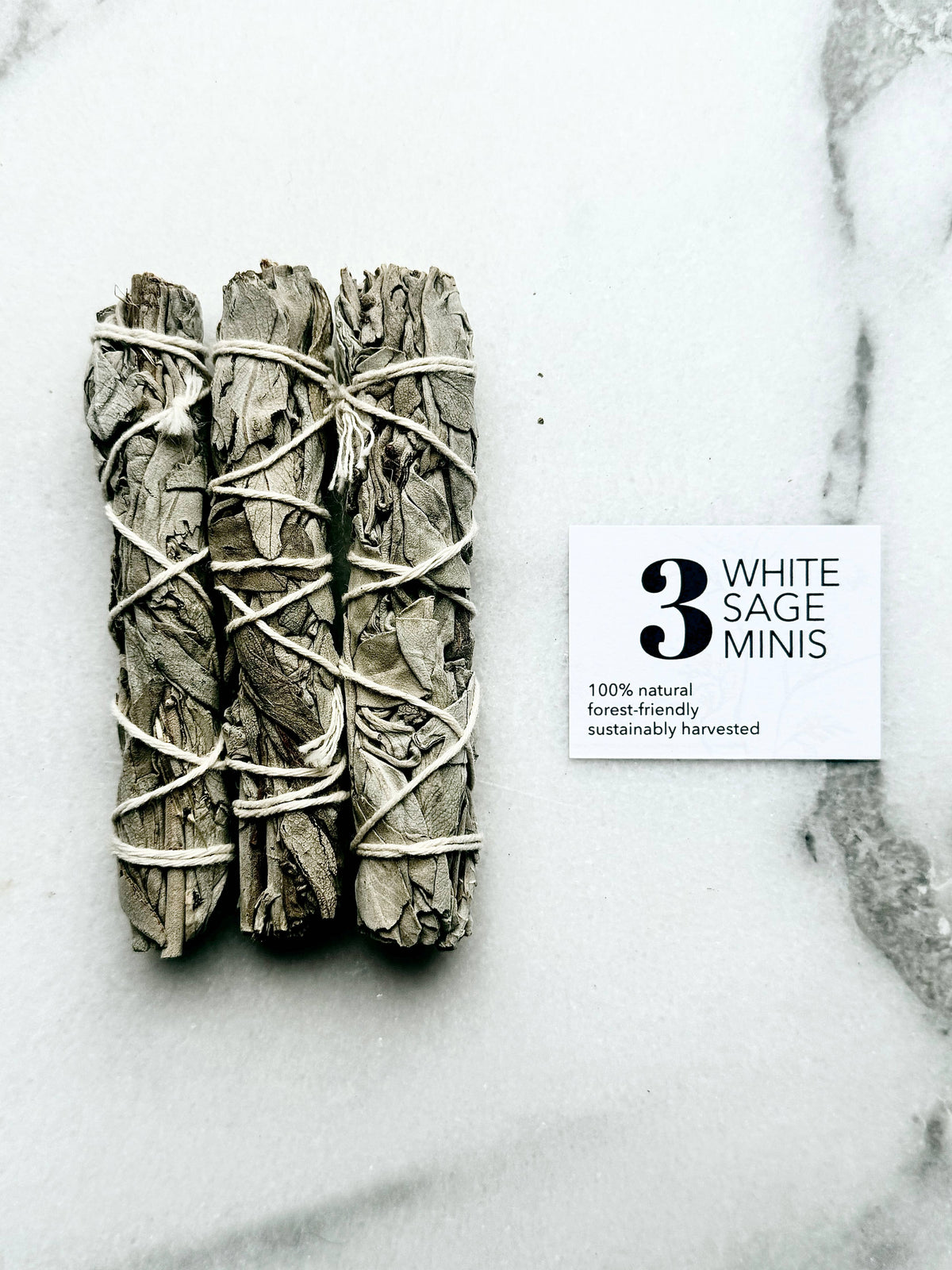Forest-Friendly White Sage Minis | (Set of 3)