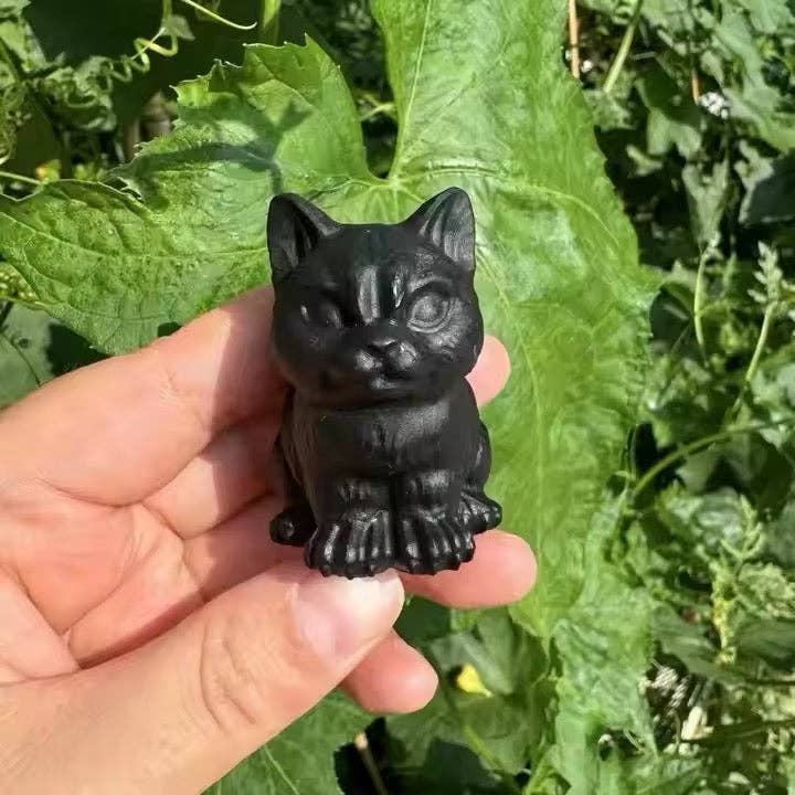 Black Obsidian Grumpy Cat | Symbol of Protection & Boundaries