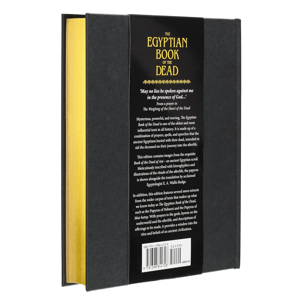 Egyptian Book of the Dead | Wisdom of the Ancient Papyrus of Ani | E. A. Wallis Budge