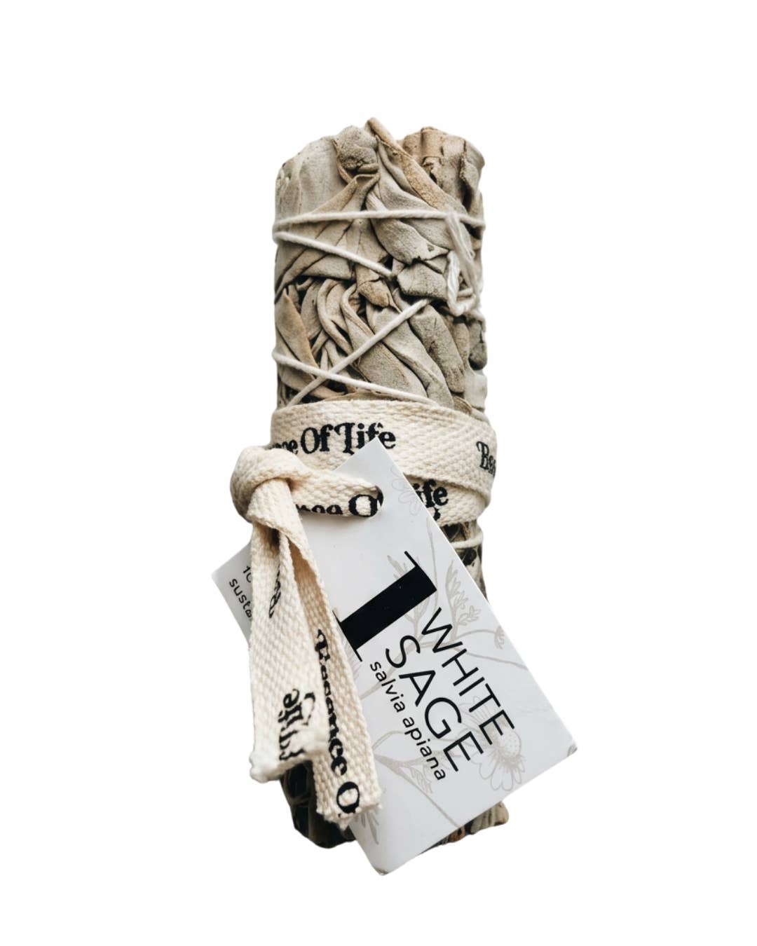 Forest-Friendly White Sage Bundle | 4 inch