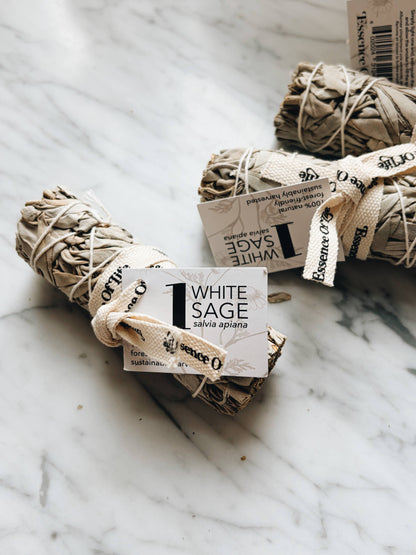 Forest-Friendly White Sage Bundle | 4 inch