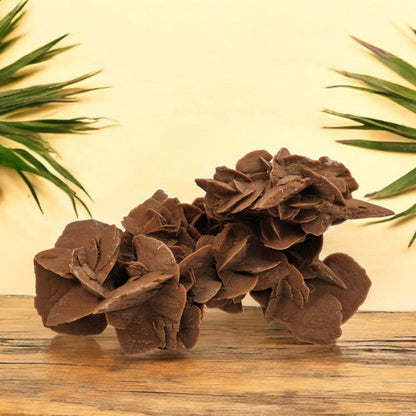 Extra Large Desert Rose Crystal Cluster from Morocco | 13 lb Specimen
